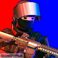 POLYWAR на компьютер